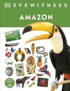 Amazon - Dorling Kindersley