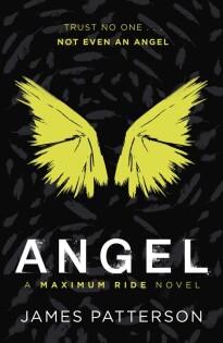 Angel: A Maximum Ride Novel - Arrow (Young)