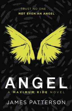 Angel: A Maximum Ride Novel - 1