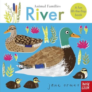 Animal Families: River - Nosy Crow