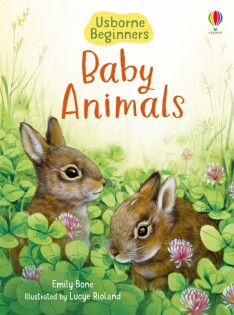 Baby Animals - Usborne