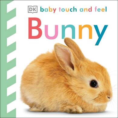 Baby Touch And Feel Bunny - 1