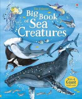 Big Book of Sea Creatures - Usborne