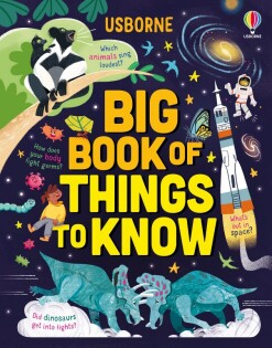 Big Book of Things to Know - Usborne