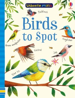 Birds to Spot - Usborne