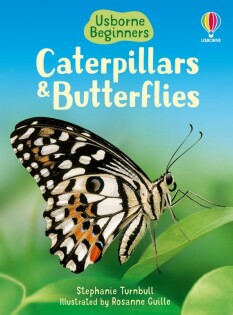 Caterpillars and Butterflies - Usborne