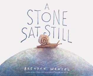 A Stone Sat Still - Chronicle Books