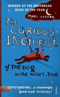 Curious Incident of The Dog - 3