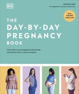 Day-by-Day Pregnancy Book - Dorling Kindersley