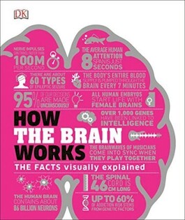 How the Brain Works - Dorling Kindersley