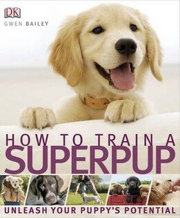 How to Train a Superpup - 2