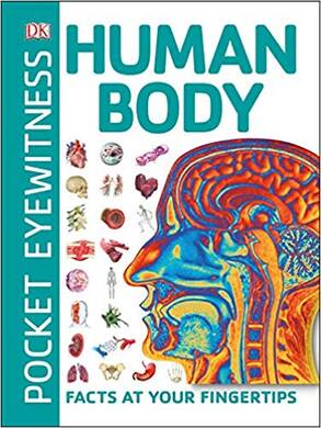 Pocket Eyewitness Human Body - 2