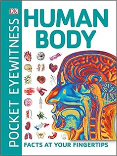 Pocket Eyewitness Human Body - 1