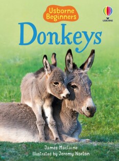 Donkeys - Usborne