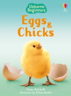 Eggs and Chicks - Usborne