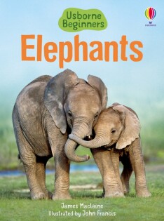 Elephants - Usborne