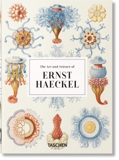 Ernest Haeckel - Taschen