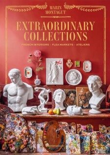 Extraordinary Collections: French Interiors, Flea Markets, Ateliers - Thames & Hudson