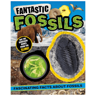 Fantastic Fossils - Make Believe Ideas