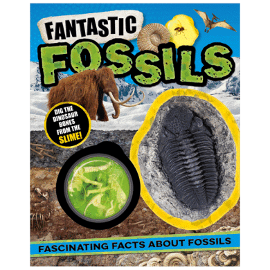 Fantastic Fossils - 1