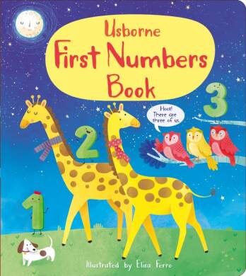 First Numbers Book - 1