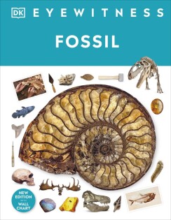 Fossil - Dorling Kindersley