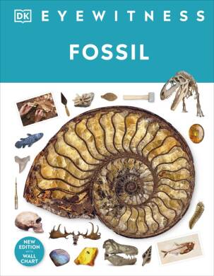 Fossil - 1