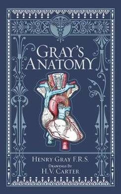 Gray'S Anatomy - 2