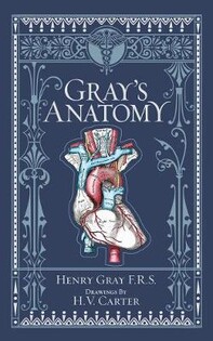 Gray'S Anatomy - 1