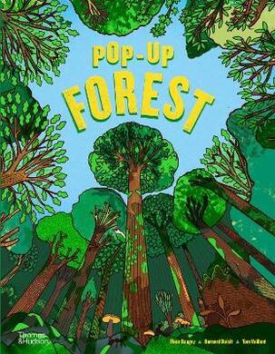 Pop-Up Forest - 2