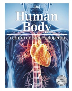 Human Body A Children's Encyclopedia - Dorling Kindersley