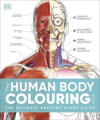 Human Body Colouring Book - 1