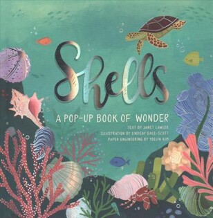 Shells: A Summer Pop-Up Book - Jumping Jack Press