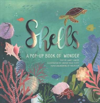 Shells: A Summer Pop-Up Book - 1