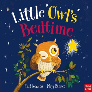 Little Owl's Bedtime - Nosy Crow