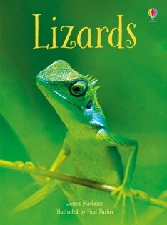 Lizards - Usborne