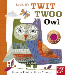 Look, It's Twit Twoo Owl - Nosy Crow