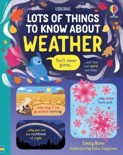 Lots of Things to Know About Weather - Usborne