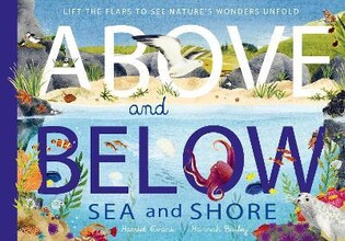 Above And Below: Sea And Shore : Lift The Flaps To See Nature'S Wonders Unfold - Little Tiger Books