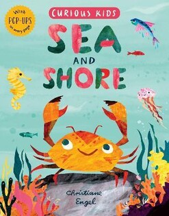 Curious Kids: Sea And Shore - Little Tiger Books