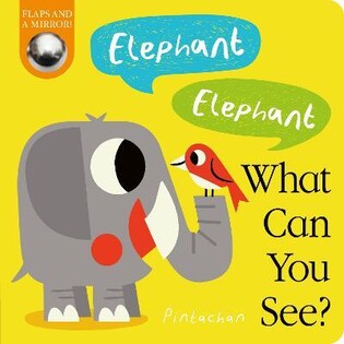 Elephant! Elephant! What Can You See? - Little Tiger Books