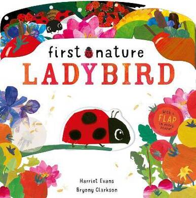 Fn Ladybird - 1