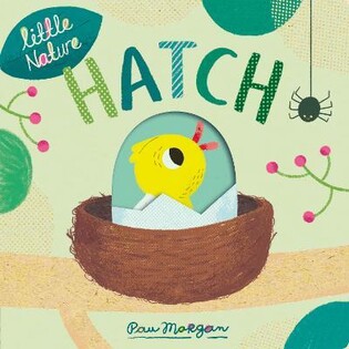 Hatch - Little Tiger Books