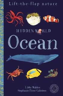 Hidden World: Ocean - Little Tiger Books