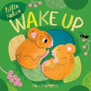 Ln: Wake Up - Little Tiger Books