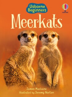 Meerkats - Usborne