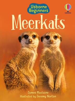 Meerkats - 1