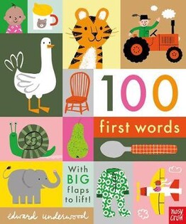 100 First Words - Nosy Crow