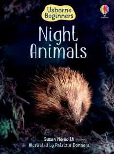 Night Animals - Usborne