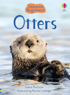 Otters - Usborne